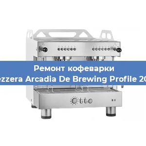 Декальцинация   кофемашины Bezzera Arcadia De Brewing Profile 2GR в Красноярске